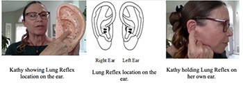 Ear Reflexology